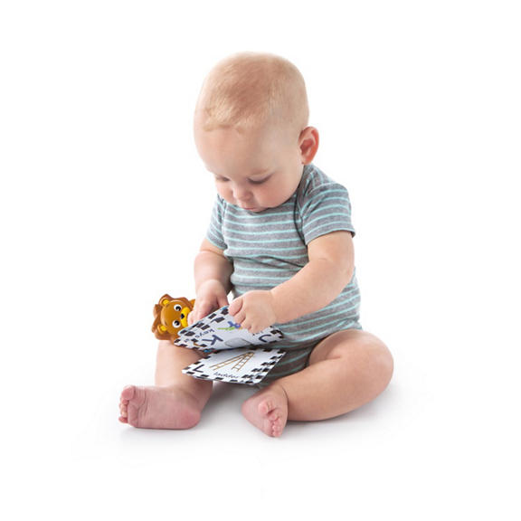 Take Along Discovery Cards™ Toy