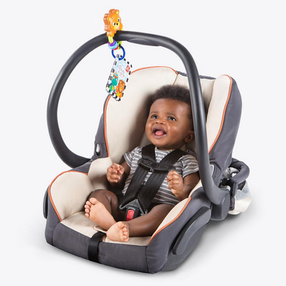 Take Along Discovery Cards™ Toy