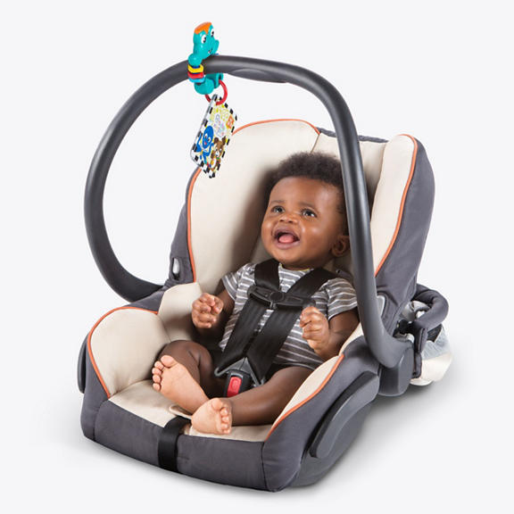 Take Along Discovery Cards™ Toy