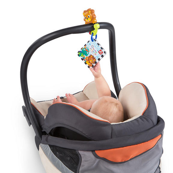 Take Along Discovery Cards™ Toy