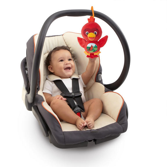 Sing & Play Songbirds™ Take-Along Toys