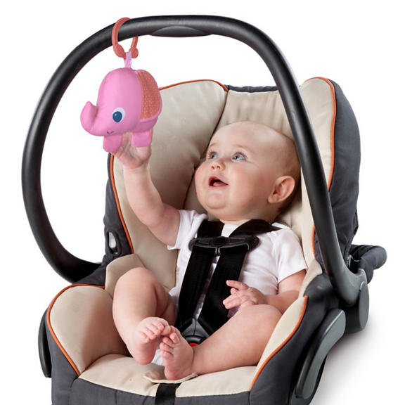 Fancy Flowers™ Activity Gym