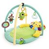 My Lovable Lion™ Activity Gym