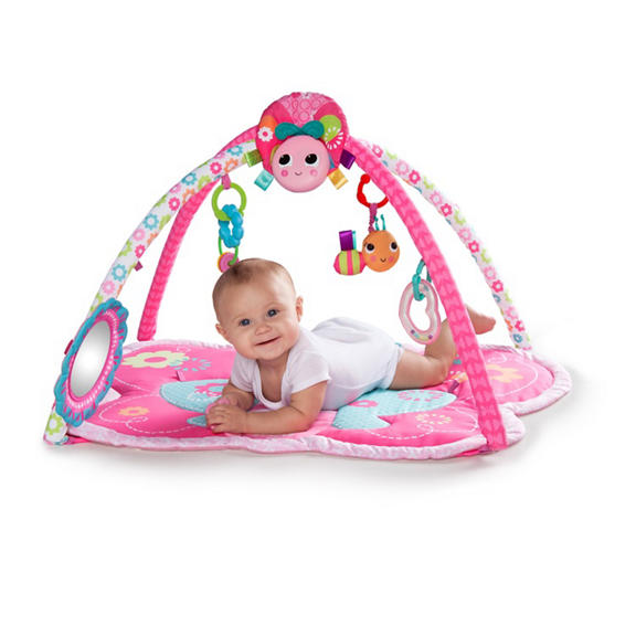 Bright Butterfly Activity Gym
