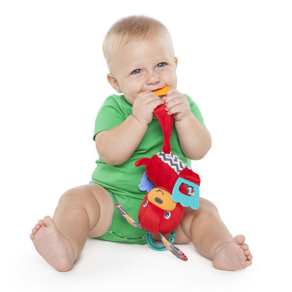Tug ‘n Teethe Puppy™ Plush Teether