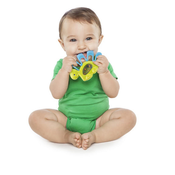 Teethe-a-saurus™ Teething Toy