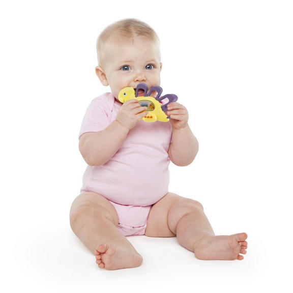 Teethe-a-saurus™ Teething Toy