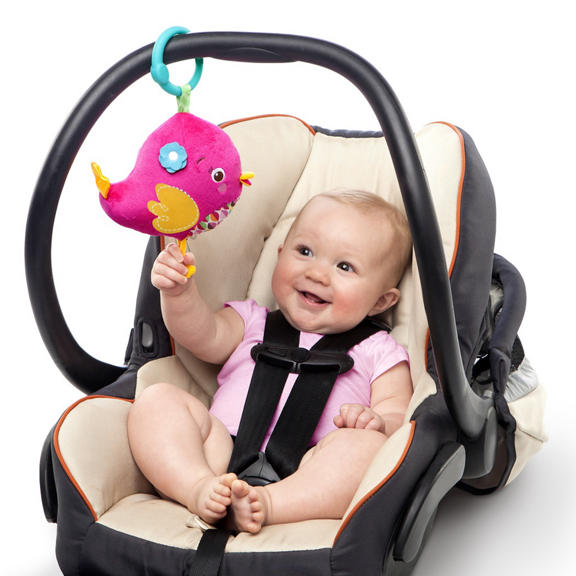 Bloomin’ Birdies™ Activity Gym