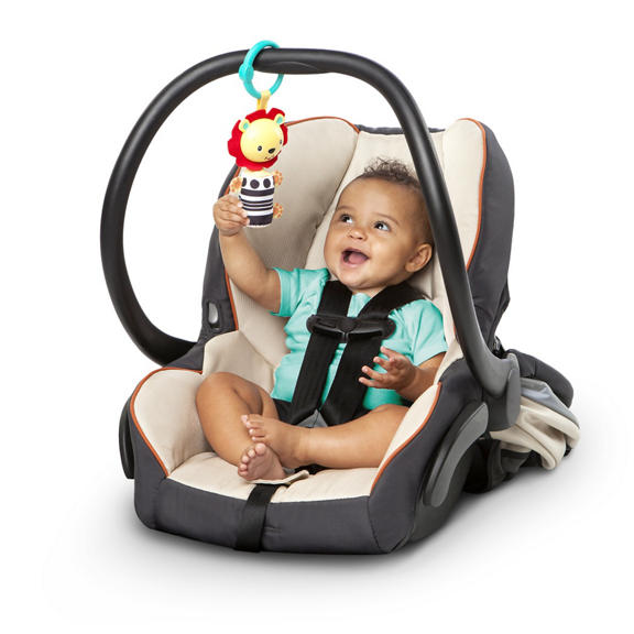 Roaming Safari™ Activity Gym