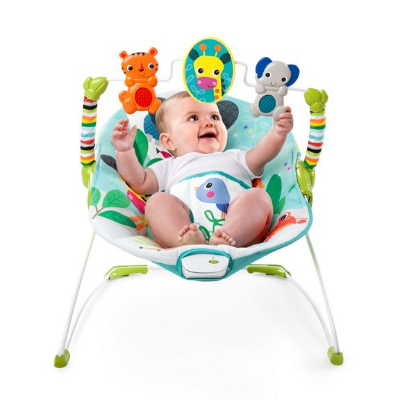 Jungle Stream™ Bouncer