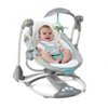 ConvertMe Swing-2-Seat™ Portable Swing - Ridgedale™