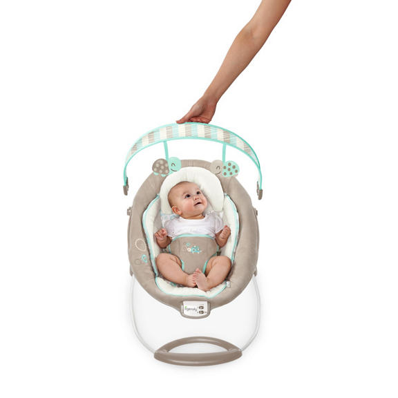 Sampson Vibrating Bouncer™