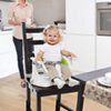 SmartClean™ ChairMate™ Chair Top High Chair - Lime