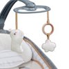 Boutique Collection™ Rocking Seat™ - Bella Teddy™