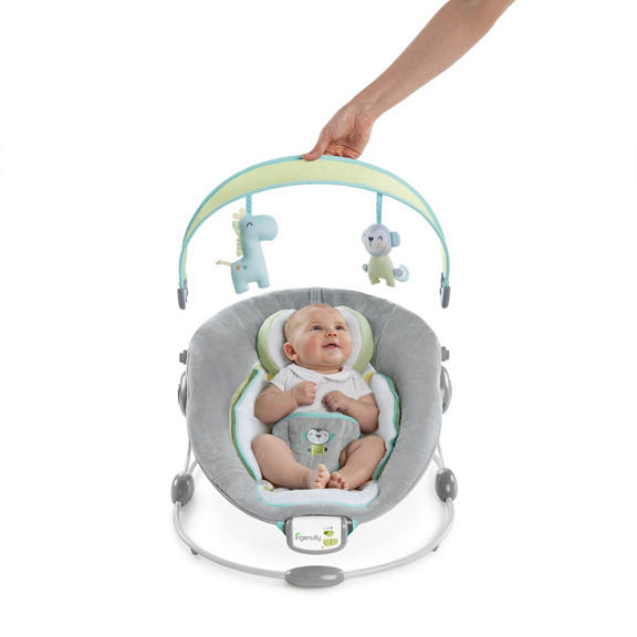 Soothe 'n Delight Bouncer™ - Savvy Safari™