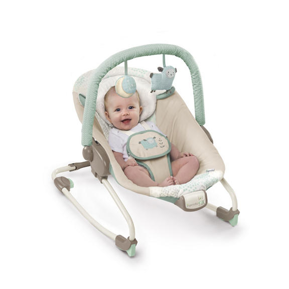 InJoy Infant Rocking Seat