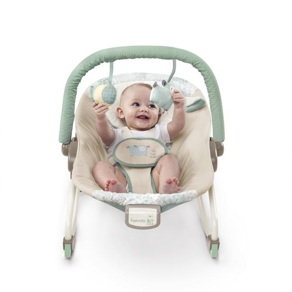 InJoy Infant Rocking Seat