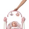 Soothe 'n Delight Portable Swing™ - Felicity Floral™