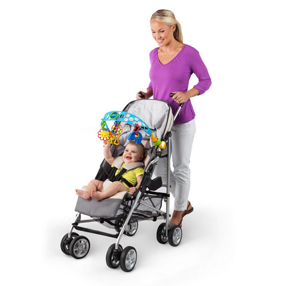 Flex ‘n Go Activity Arch™ Take-Along Toy