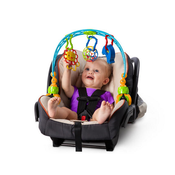 Flex ‘n Go Activity Arch™ Take-Along Toy