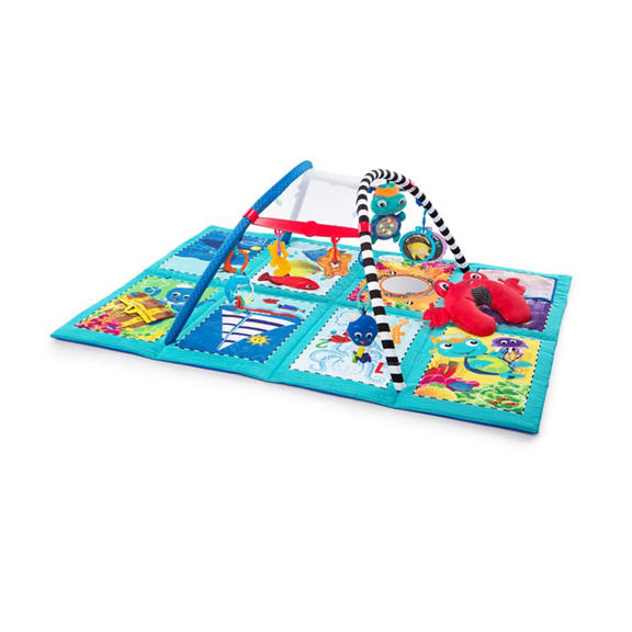 Discovery Seas™ Multi-Mode Gym