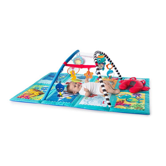 Discovery Seas™ Multi-Mode Gym