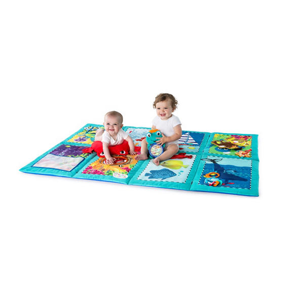 Discovery Seas™ Multi-Mode Gym