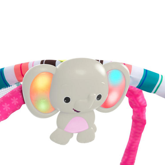 5-in-1 Your Way Ball Play™ Pink Activity Gym