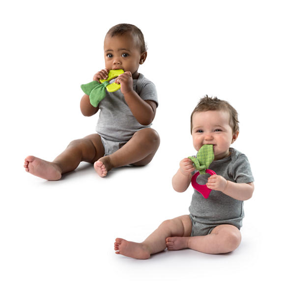Simply Bright Starts™ Garden Chews™ Teether