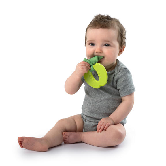 Simply Bright Starts™ Garden Chews™ Teether