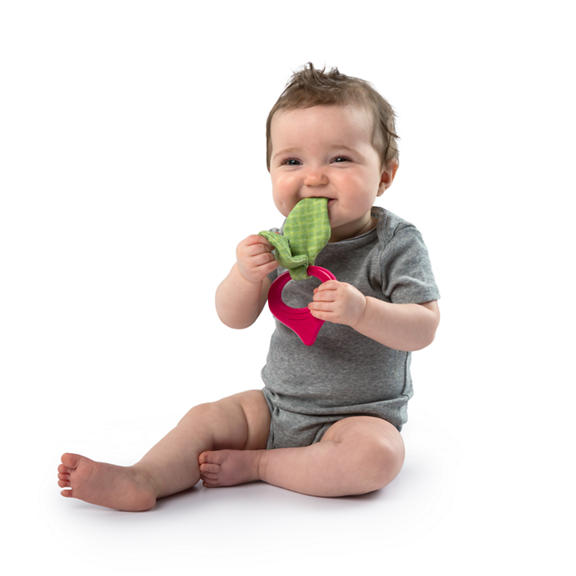 Simply Bright Starts™ Garden Chews™ Teether