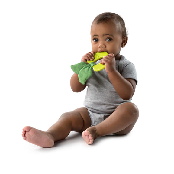 Simply Bright Starts™ Garden Chews™ Teether
