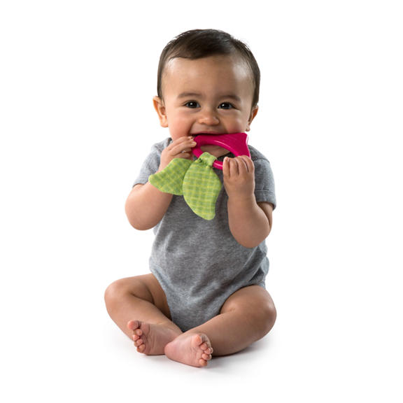Simply Bright Starts™ Garden Chews™ Teether