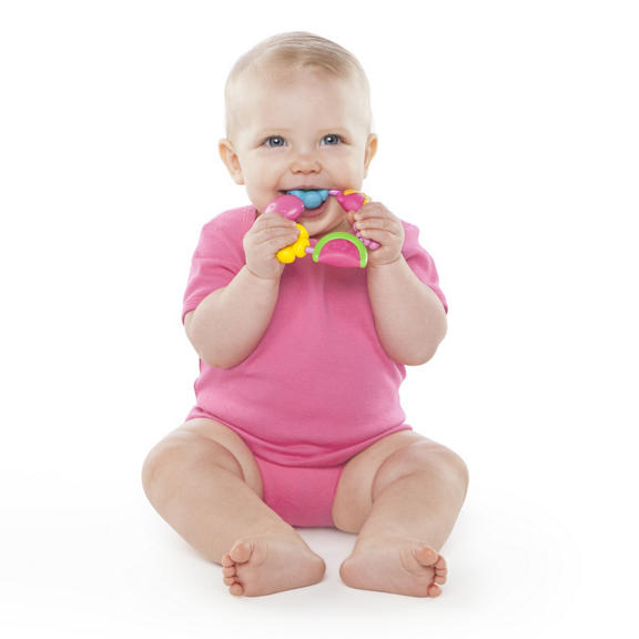 Buggy Bites Teether™ Assortment
