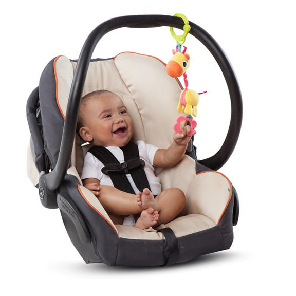 Shimmy Shakers™ Take-Along Toys