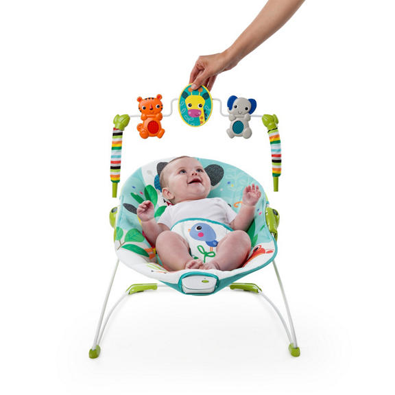 Jungle Stream™ Bouncer