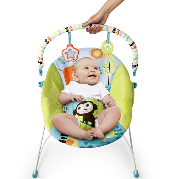 Pattern Pals Vibrating Bouncer™