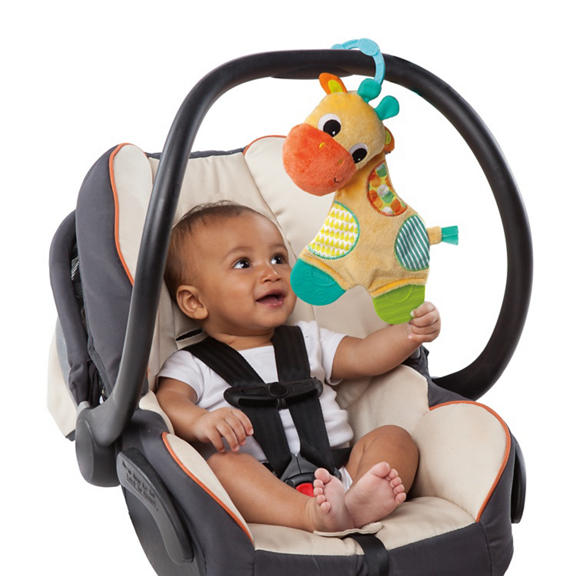 Snuggle & Teethe™ Toy