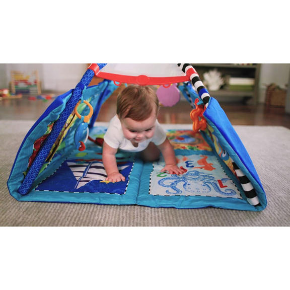 Discovery Seas™ Multi-Mode Gym